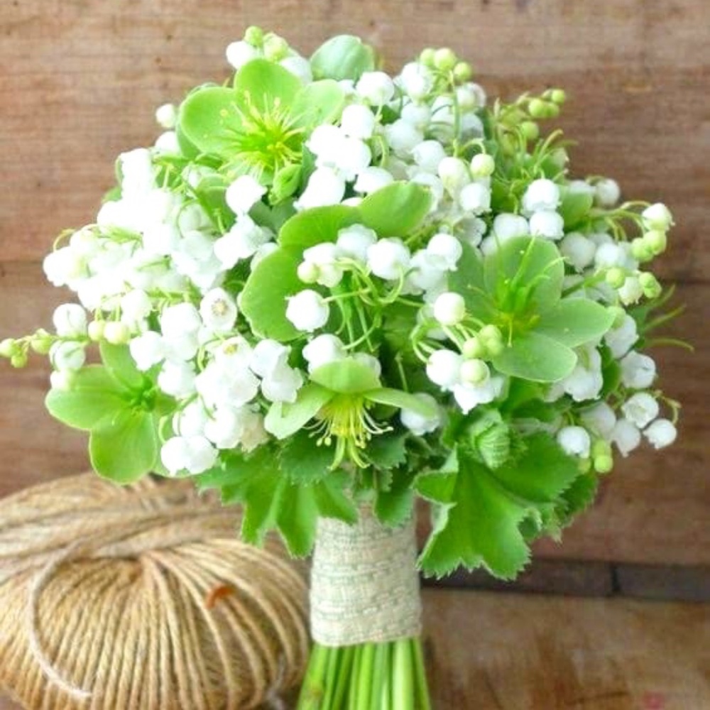 Meet your Posher, Julia